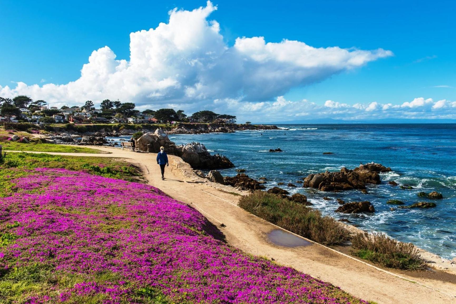 3957 Lighthouse Landing Duplex Apartment Pacific Grove Exterior photo